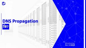 Read more about the article DNS Propagation কি?