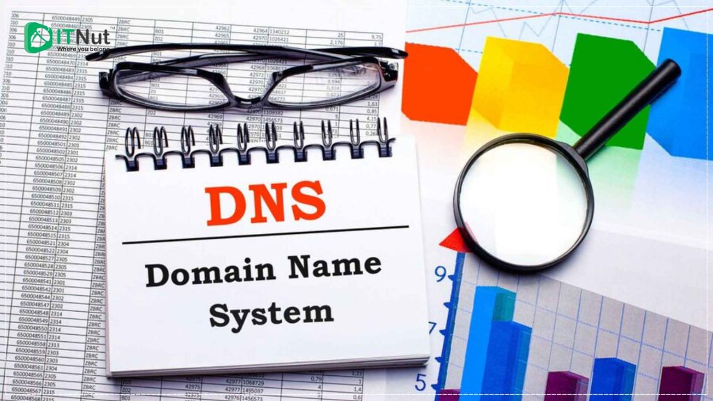 DNS Propagation
