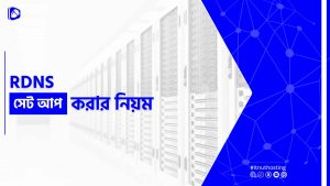 Read more about the article RDNS সেট আপ করার নিয়ম