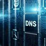 How to manage DNS records from IT Nut Hosting Client Area?