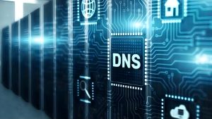 Read more about the article How to manage DNS records from IT Nut Hosting Client Area?
