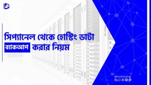 Read more about the article সিপ্যানেল থেকে হোস্টিং ডাটা ব্যাকআপ করার নিয়ম