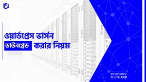 Read more about the article ওয়ার্ডপ্রেস ভার্সন ডাউনগ্রেড করার নিয়ম