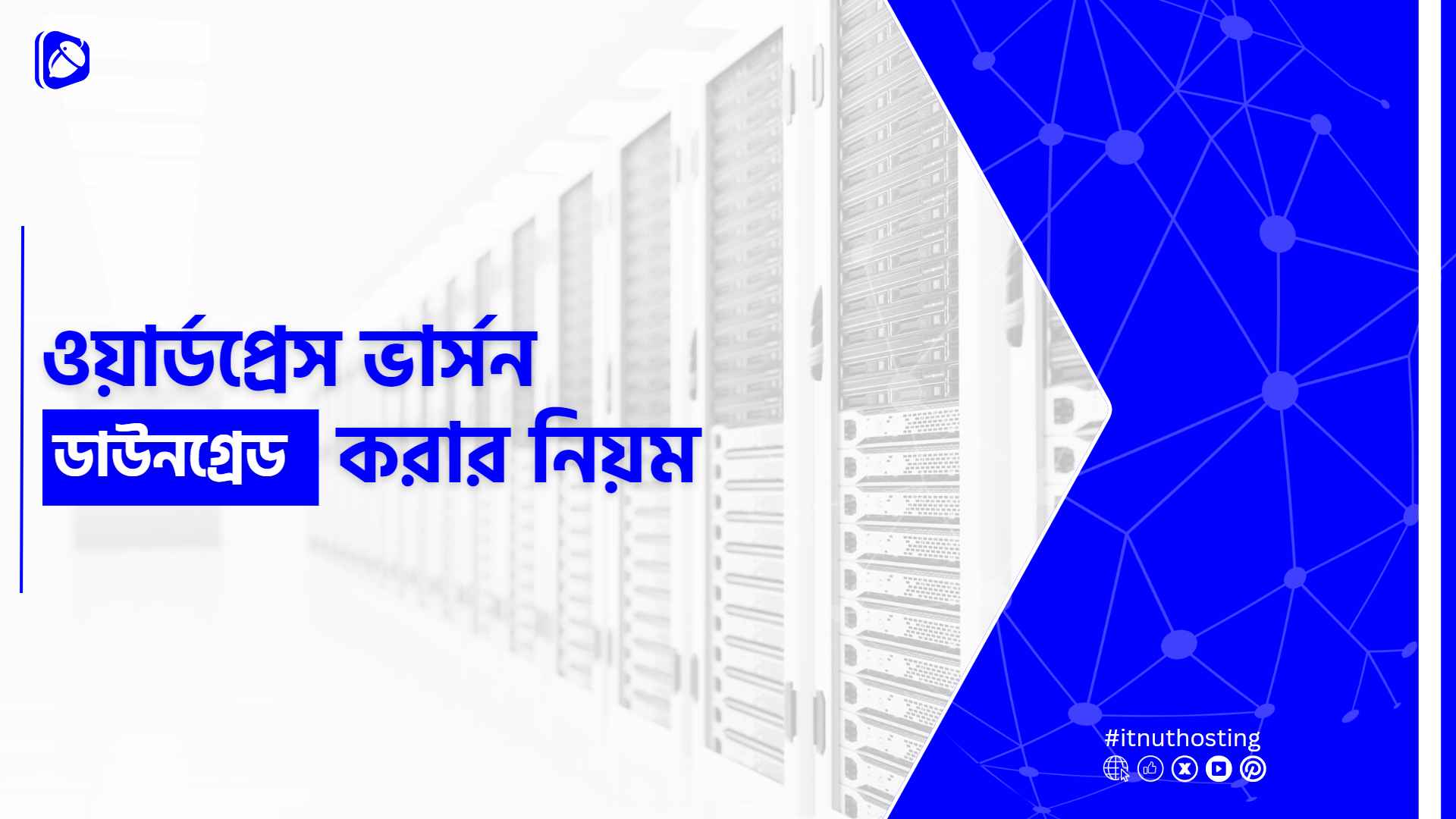 You are currently viewing ওয়ার্ডপ্রেস ভার্সন ডাউনগ্রেড করার নিয়ম