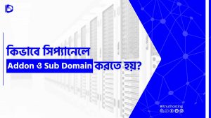 Read more about the article সিপ্যানেলে Addon ও Sub Domain অ্যাড করার নিয়ম