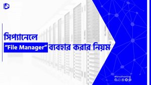 Read more about the article cPanel File Manager ব্যবহার করার নিয়ম