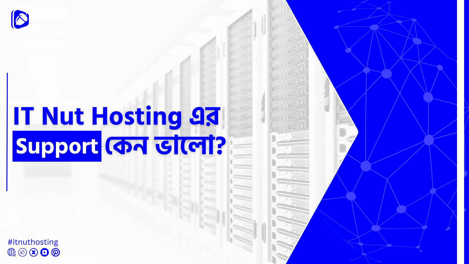 You are currently viewing IT Nut Hosting এর Support কেন ভালো?