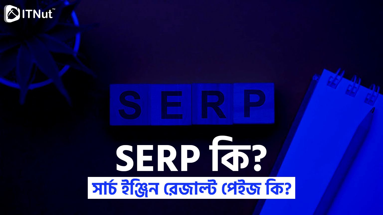 You are currently viewing SERP কি? সার্চ ইঞ্জিন রেজাল্ট পেইজ কি?
