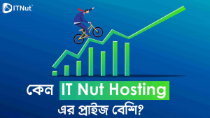 Read more about the article কেন IT Nut Hosting এর প্রাইজ বেশি?