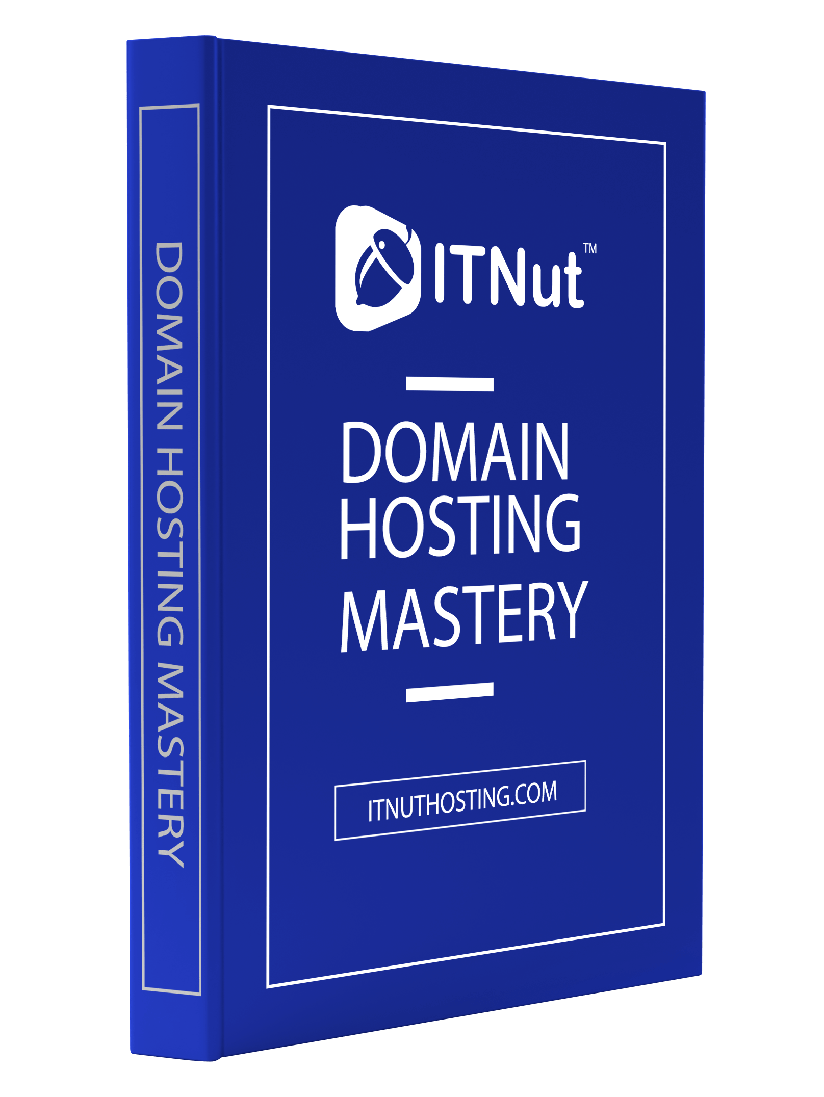 Domain Hosting Mastery