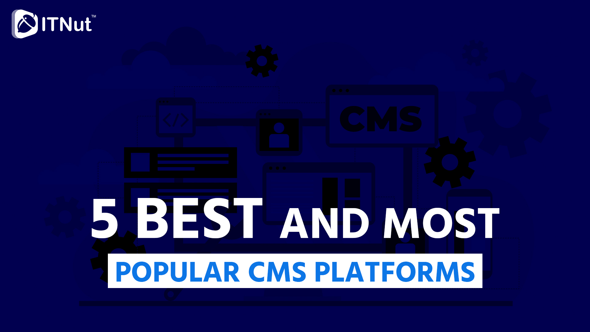 You are currently viewing 5 Best and Most Popular CMS Platforms