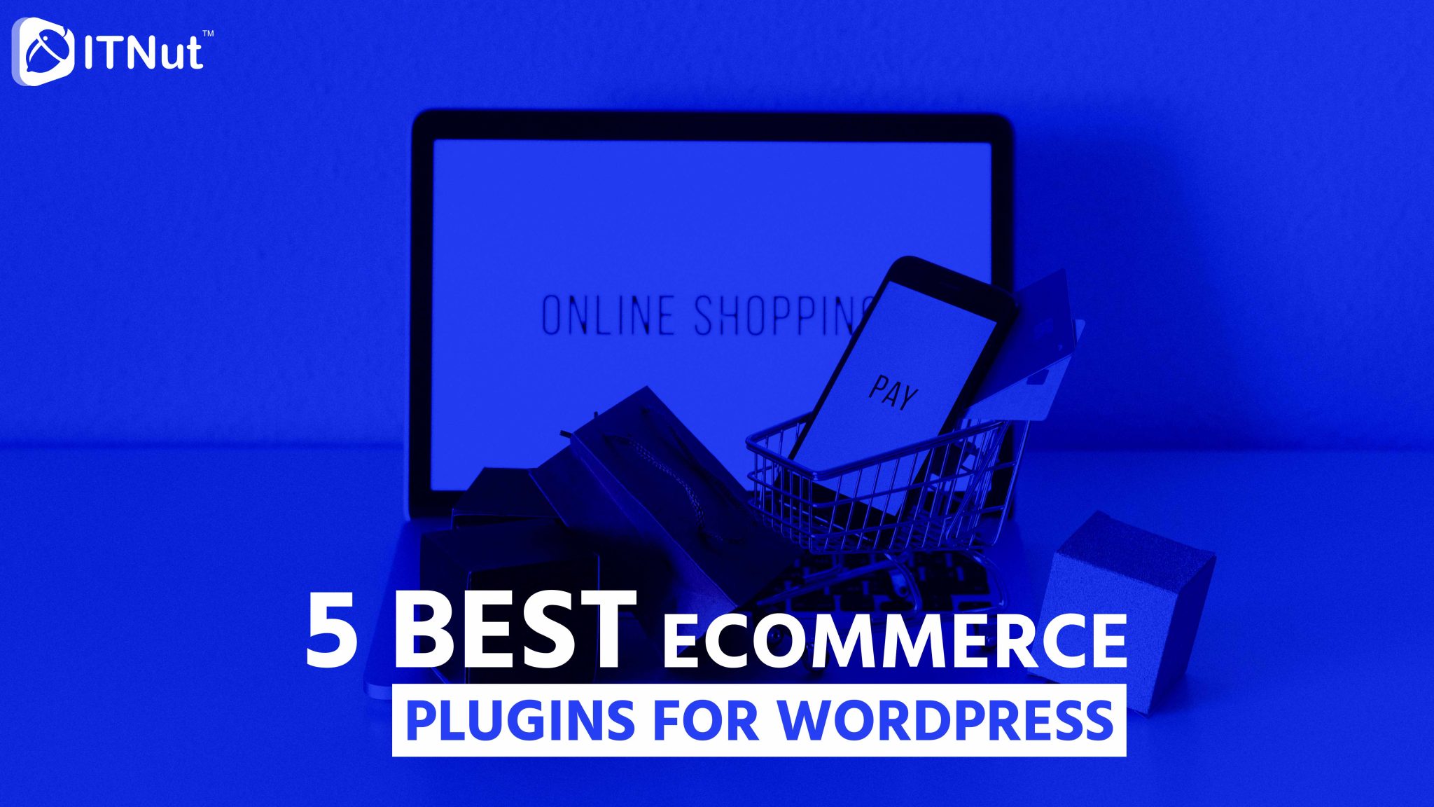 You are currently viewing 5 Best eCommerce Plugins for WordPress