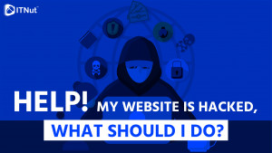 Read more about the article Help! My Website is Hacked, What Should I Do?