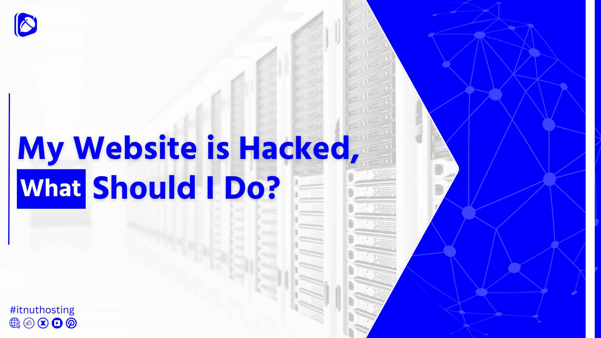 You are currently viewing Help! My Website is Hacked, What Should I Do?