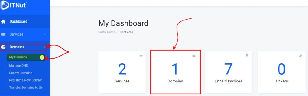 How to manage DNS records from IT Nut Client Area6 1024x319 1