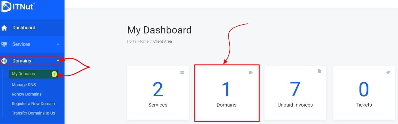 How to manage DNS records from IT Nut Client Area6