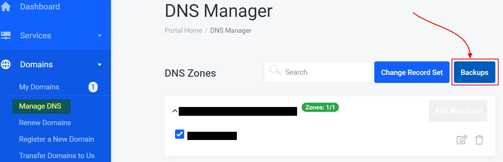 How to manage DNS records from IT Nut Hosting Client Area 6 1