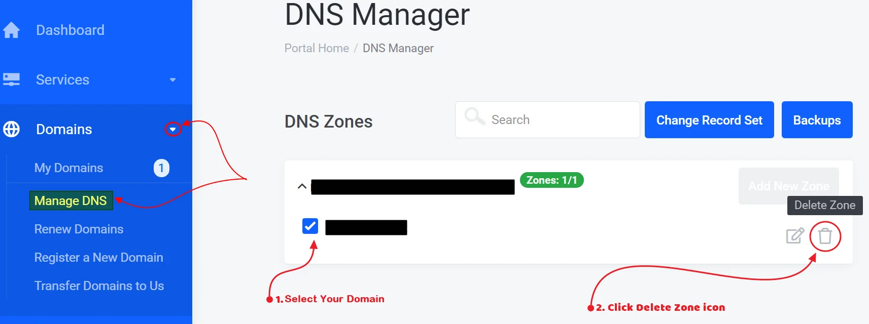 How to manage DNS records from IT Nut Hosting
