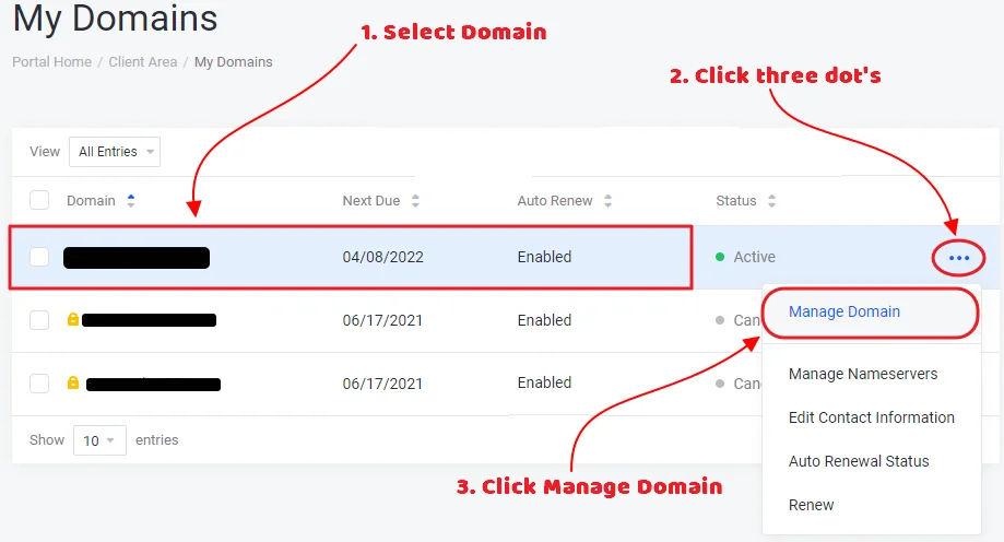 How to manage Domain after order