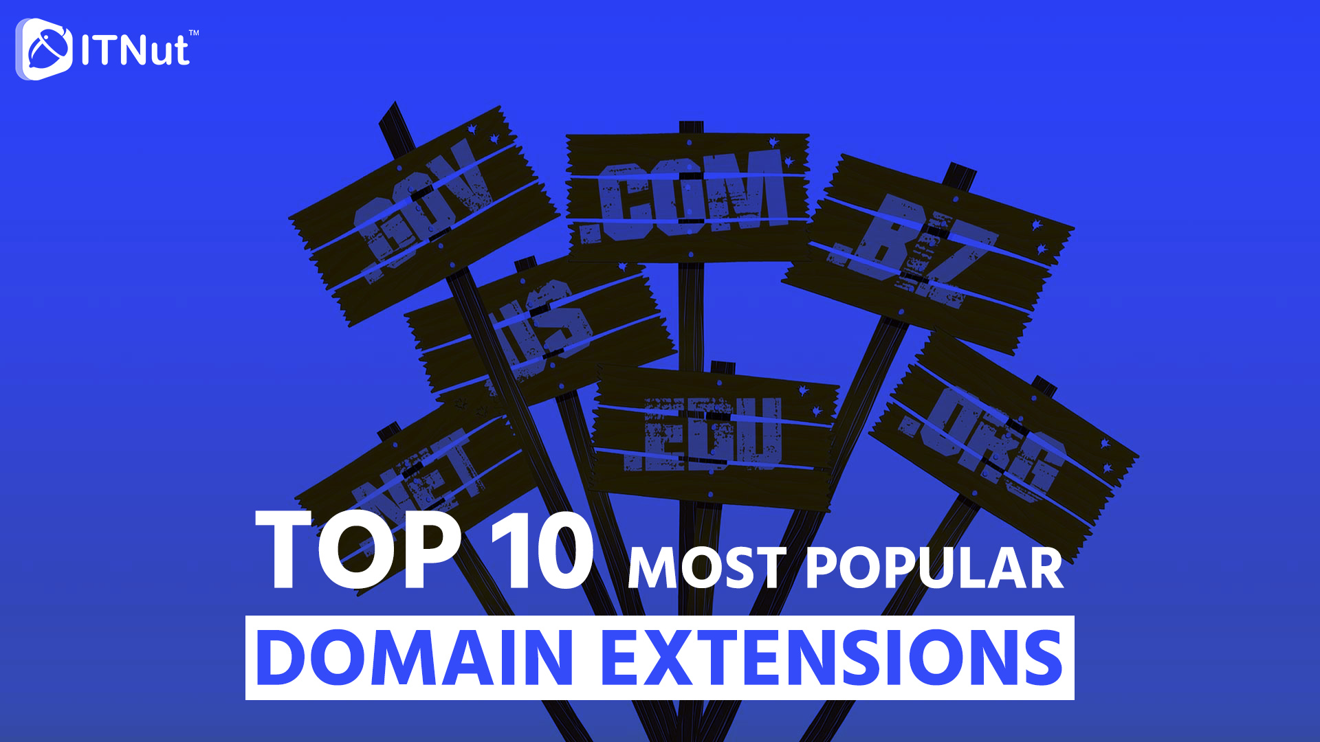 You are currently viewing TOP 10 Most Popular Domain Extensions