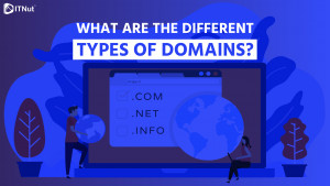 Read more about the article What are the Different Types of Domains?