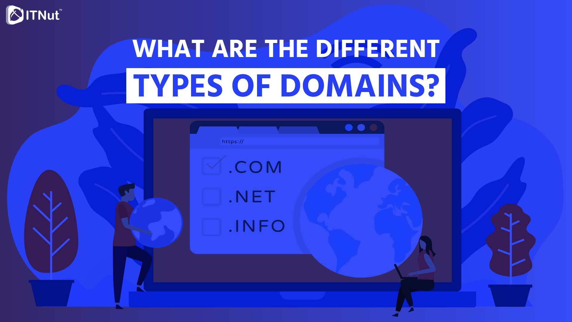 You are currently viewing What are the Different Types of Domains?