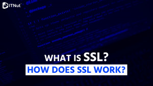 Read more about the article What is SSL? How Does SSL Work?