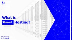 Read more about the article What is Shared Hosting