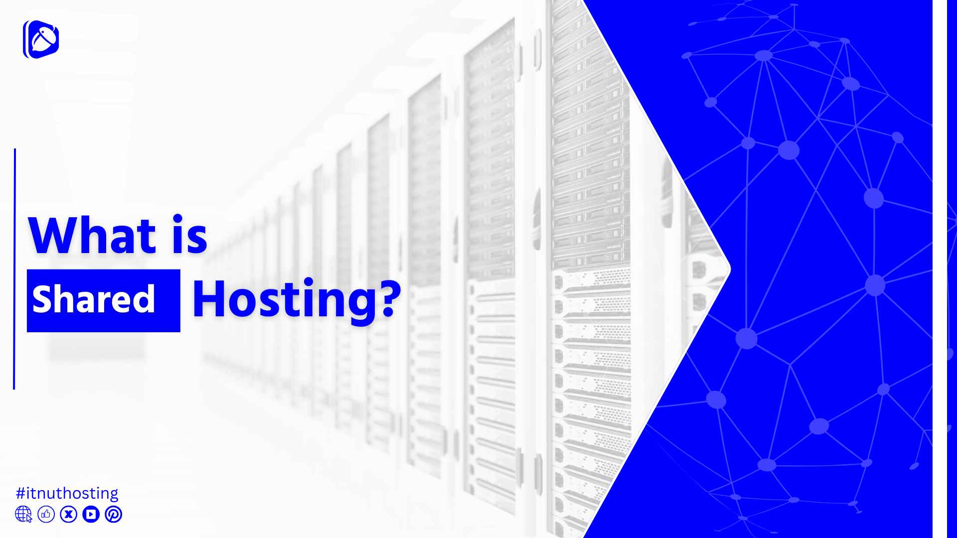 You are currently viewing What is Shared Hosting