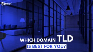 Read more about the article Which Domain TLD is Best for You?
