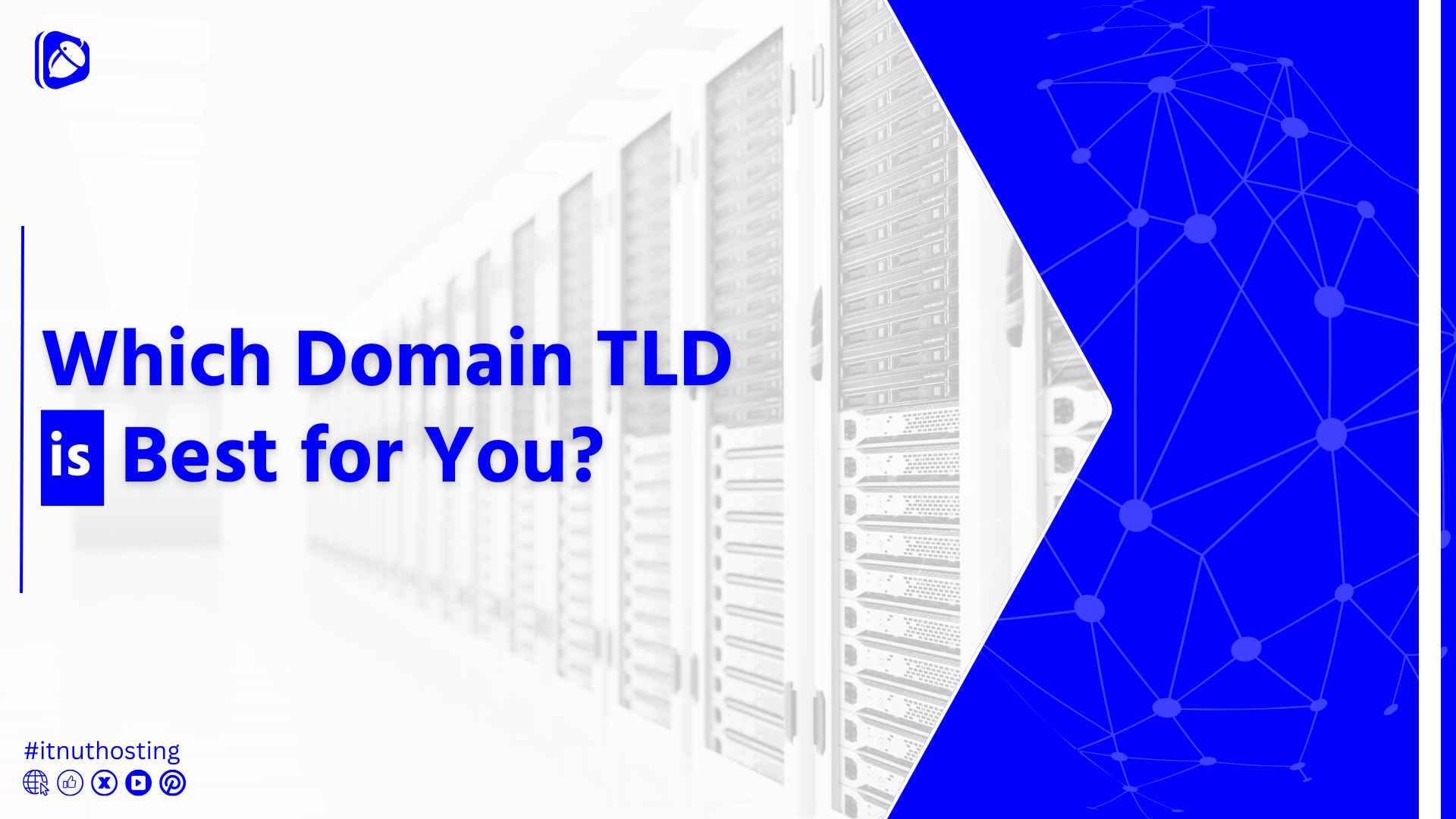 You are currently viewing Which Domain TLD is Best for You?