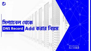 Read more about the article সিপ্যানেল থেকে DNS Record Add করার নিয়ম
