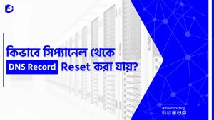 Read more about the article সিপ্যানেল থেকে DNS Record Reset করার উপায়