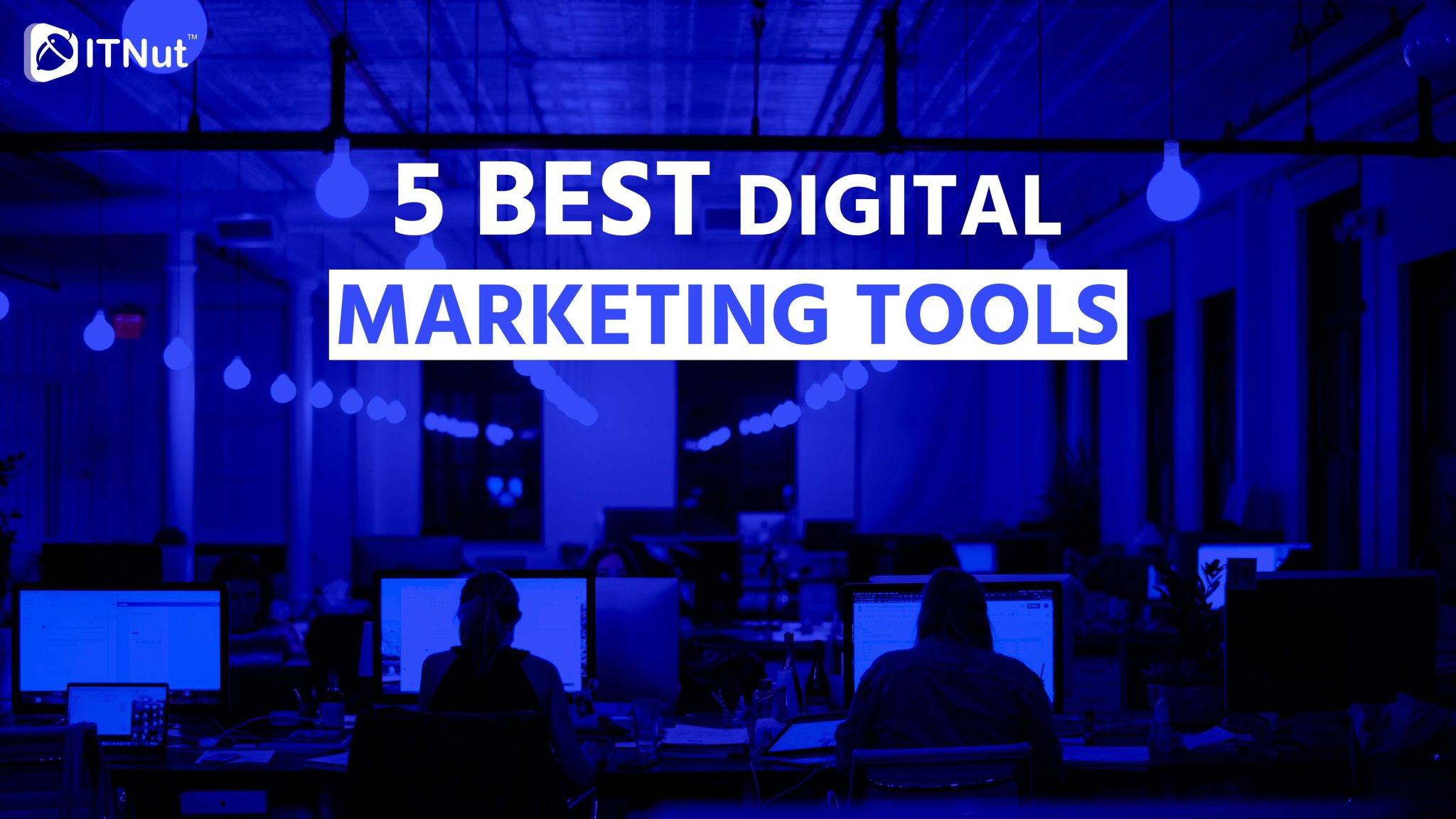 You are currently viewing 5 Best Digital Marketing Tools