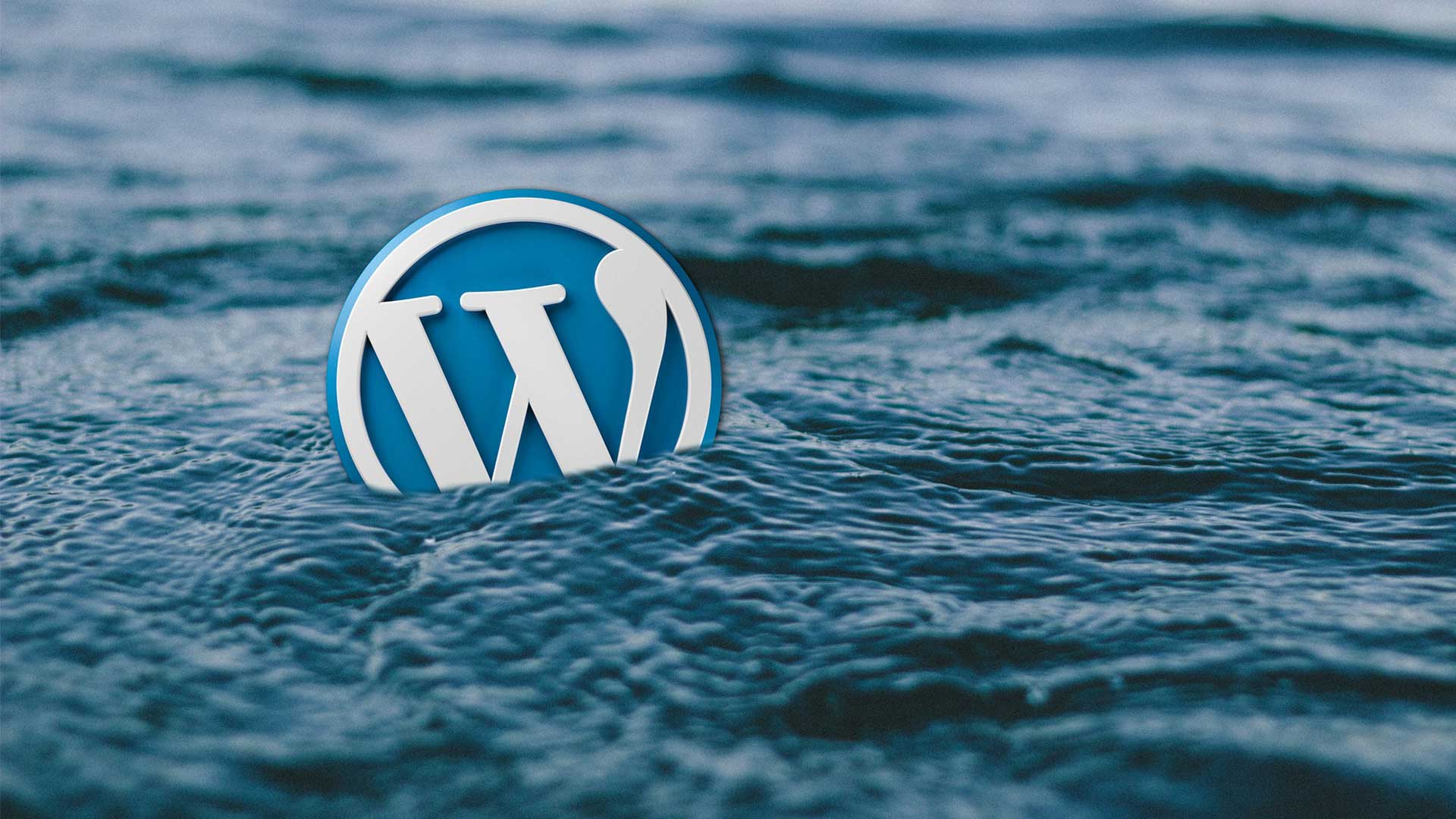 You are currently viewing What is WordPress? The History Of WordPress