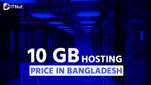 Read more about the article 10 GB Hosting Price in Bangladesh – IT Nut Hosting
