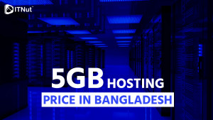 Read more about the article 5 GB Hosting Price in Bangladesh – IT Nut Hosting