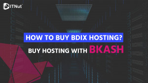 Read more about the article How to Buy BDIX Hosting? Buy Hosting with Bkash – IT Nut
