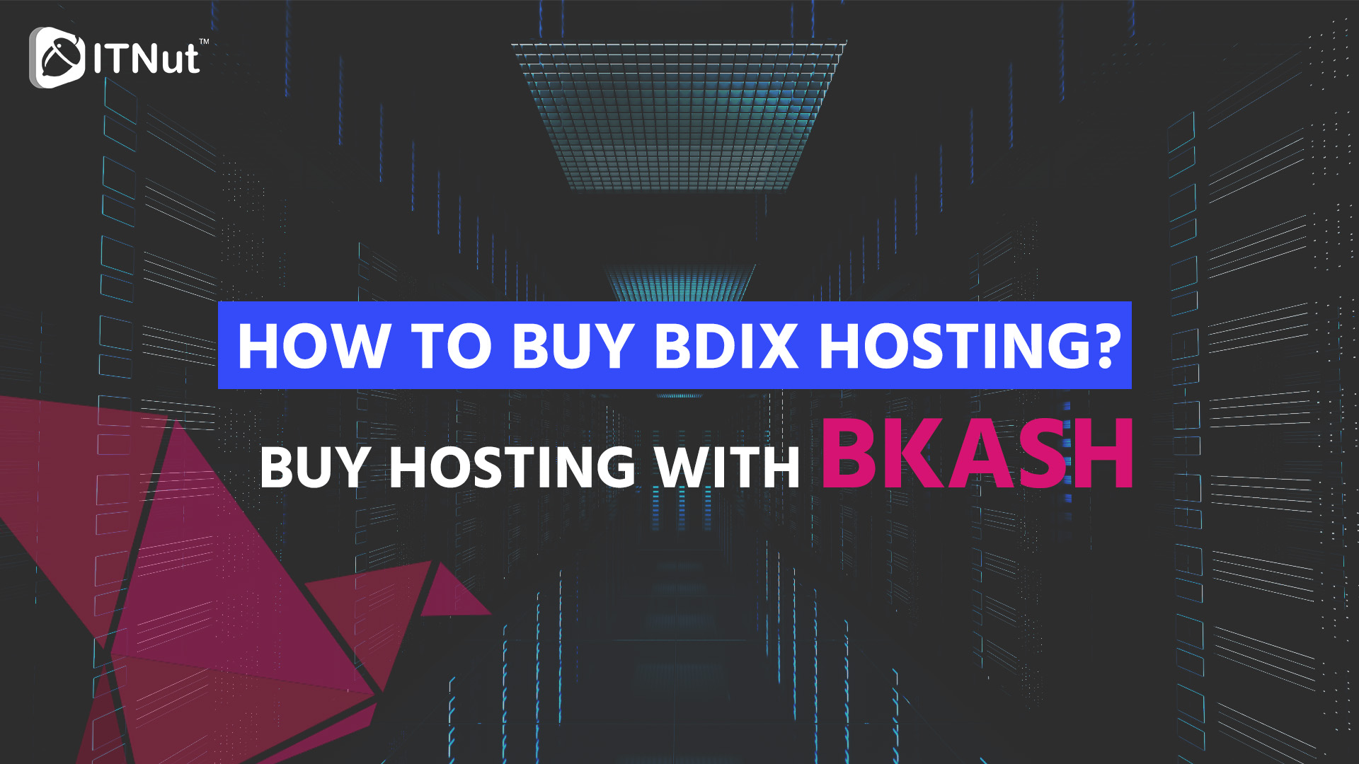 You are currently viewing How to Buy BDIX Hosting? Buy Hosting with Bkash – IT Nut