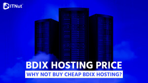 Read more about the article BDIX Hosting Price – Why not Buy Cheap BDIX Hosting?