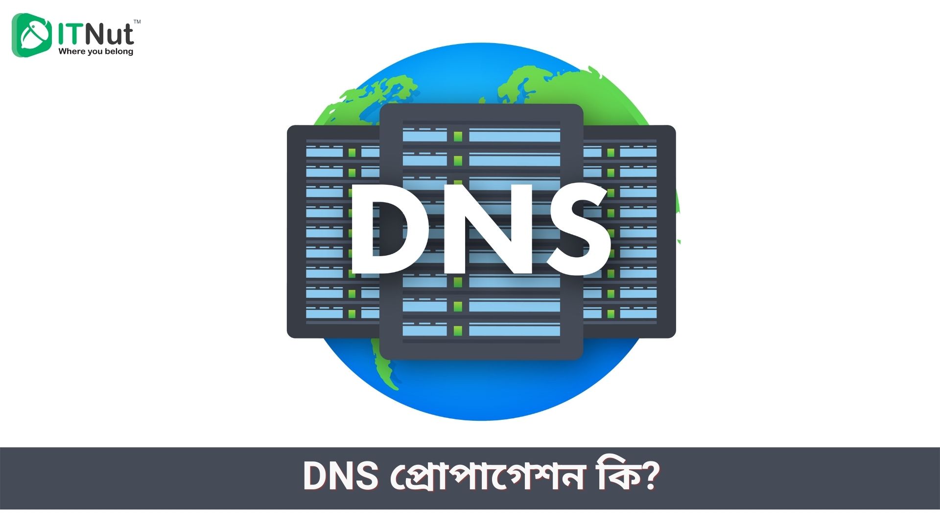 You are currently viewing DNS Propagation কি? ডিএনএস প্রোপাগেশন চেক টুলস