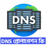 DNS Propagation কি? ডিএনএস প্রোপাগেশন চেক টুলস