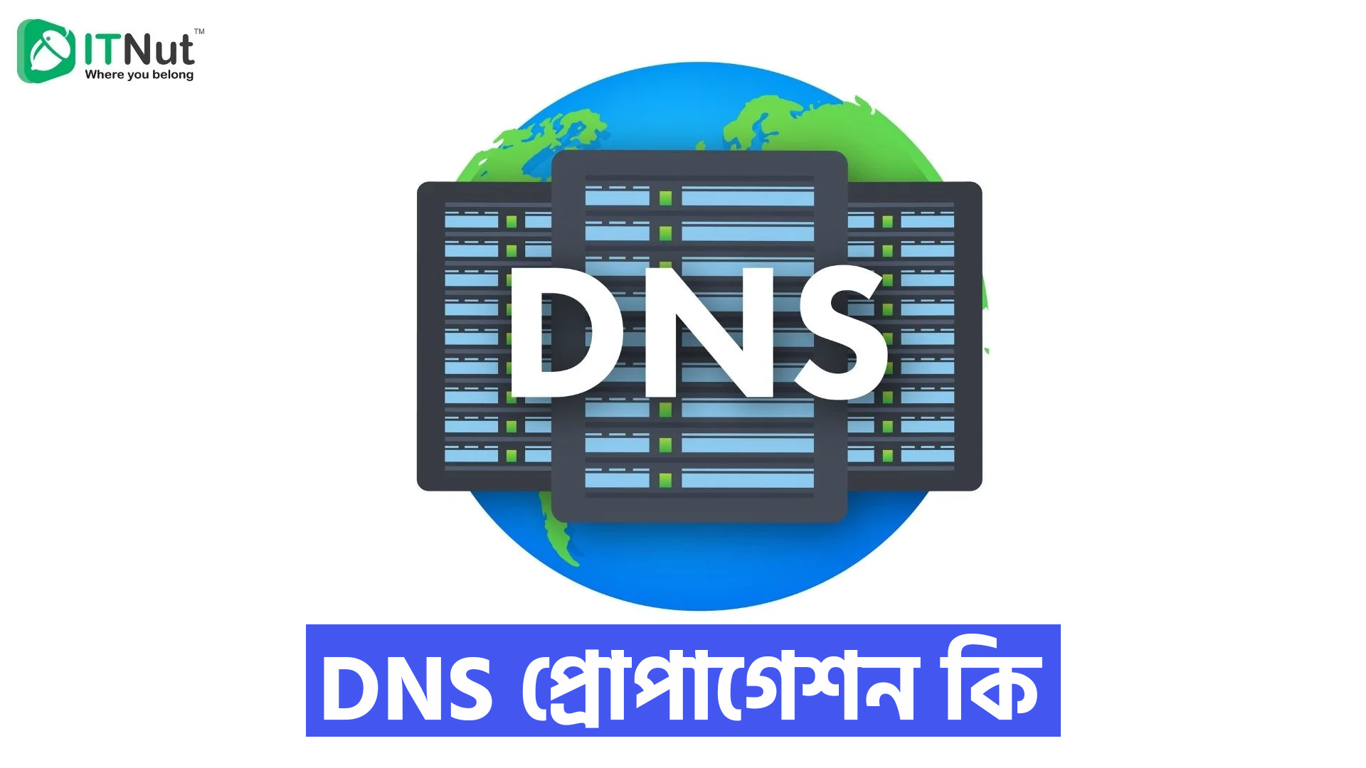 You are currently viewing DNS Propagation কি? ডিএনএস প্রোপাগেশন চেক টুলস