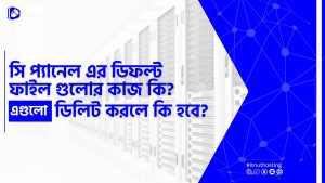 Read more about the article সিপ্যানেল এর ডিফল্ট ফাইল গুলোর কাজ কি? এগুলো ডিলিট করলে কি হবে?