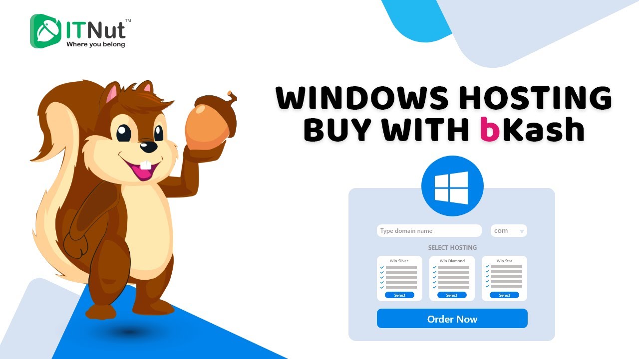Buy Windows Hosting With bKash