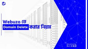 Read more about the article Webuzo তে Domain Delete করার নিয়ম