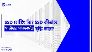 Read more about the article SSD হোস্টিং কি? SSD কীভাবে সার্ভারের পারফর্মেন্স বৃদ্ধি করে? 